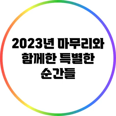 2023년 마무리와 함께한 특별한 순간들