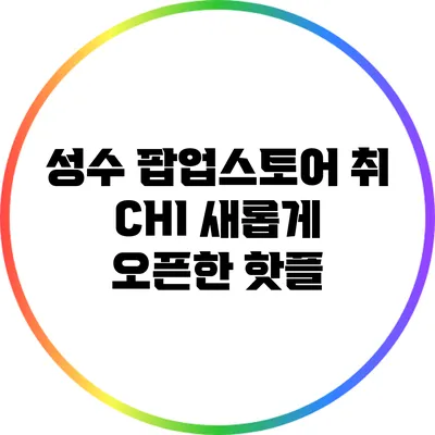 성수 팝업스토어 취 CHI: 새롭게 오픈한 핫플