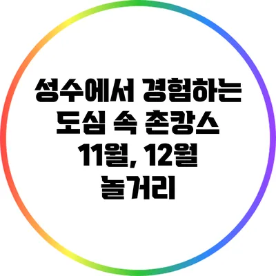 성수에서 경험하는 도심 속 촌캉스: 11월, 12월 놀거리