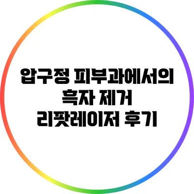 압구정 피부과에서의 흑자 제거 리팟레이저 후기