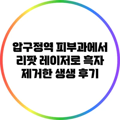 압구정역 피부과에서 리팟 레이저로 흑자 제거한 생생 후기