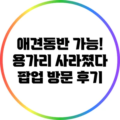 애견동반 가능! 용가리 사라졌다 팝업 방문 후기