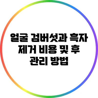 얼굴 검버섯과 흑자 제거 비용 및 후 관리 방법