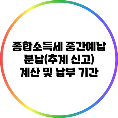 종합소득세 중간예납 분납(추계 신고) 계산 및 납부 기간