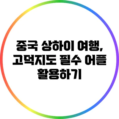 중국 상하이 여행, 고덕지도 필수 어플 활용하기