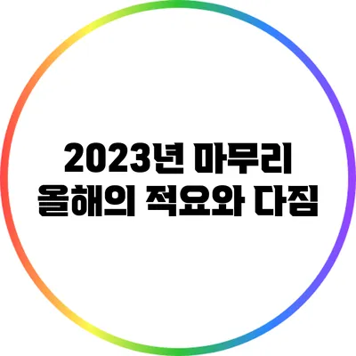 2023년 마무리: 올해의 적요와 다짐