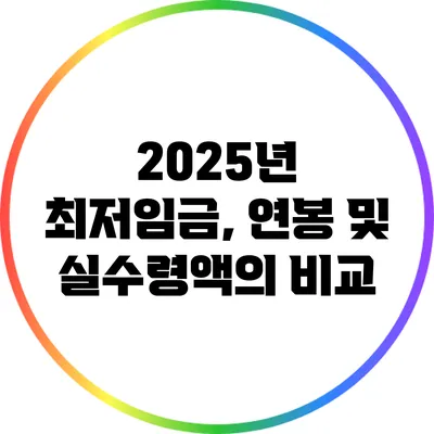 2025년 최저임금, 연봉 및 실수령액의 비교