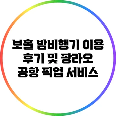 보홀 밤비행기 이용 후기 및 팡라오 공항 픽업 서비스