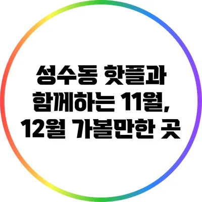 성수동 핫플과 함께하는 11월, 12월 가볼만한 곳