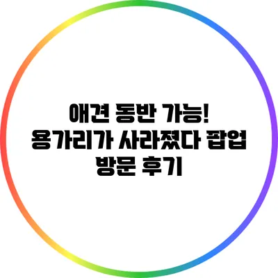 애견 동반 가능! 용가리가 사라졌다 팝업 방문 후기