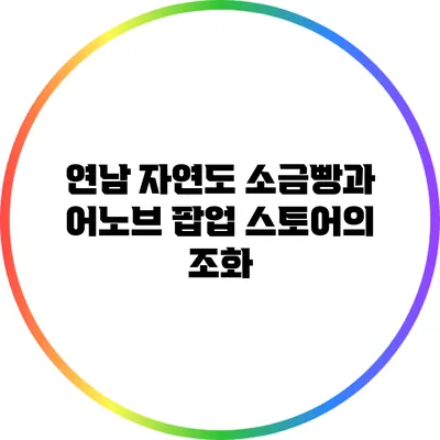 연남 자연도 소금빵과 어노브 팝업 스토어의 조화