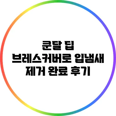 쿤달 딥 브레스커버로 입냄새 제거 완료 후기