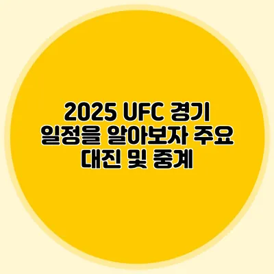 2025 UFC 경기 일정을 알아보자 주요 대진 및 중계