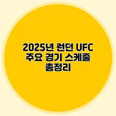 2025년 런던 UFC 주요 경기 스케줄 총정리