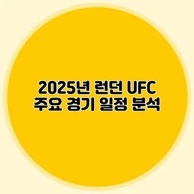 2025년 런던 UFC 주요 경기 일정 분석