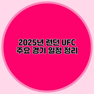 2025년 런던 UFC 주요 경기 일정 정리