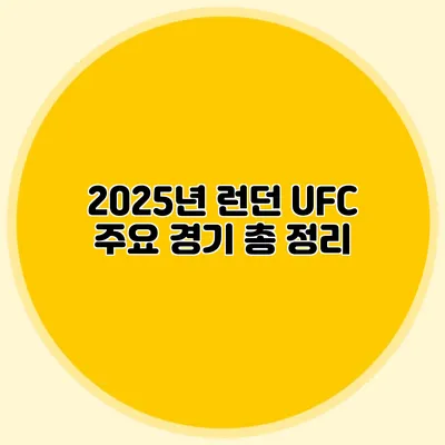 2025년 런던 UFC 주요 경기 총 정리