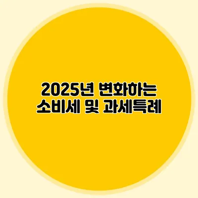 2025년 변화하는 소비세 및 과세특례