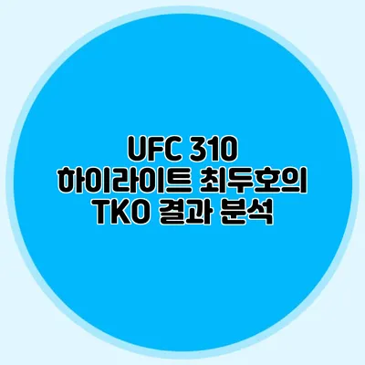 UFC 310 하이라이트 최두호의 TKO 결과 분석