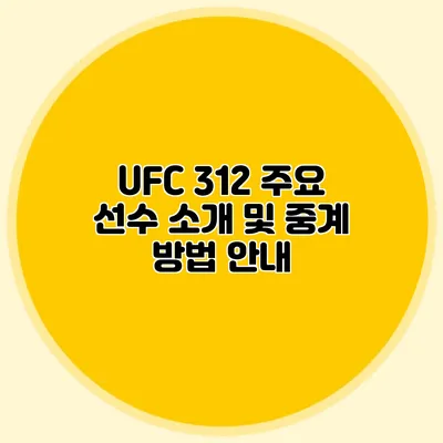 UFC 312 주요 선수 소개 및 중계 방법 안내