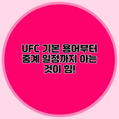 UFC 기본 용어부터 중계 일정까지 아는 것이 힘!