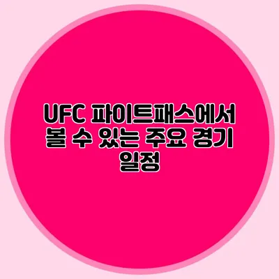 UFC 파이트패스에서 볼 수 있는 주요 경기 일정