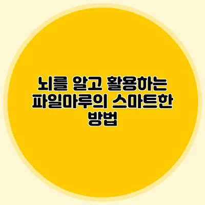 뇌를 알고 활용하는 파일마루의 스마트한 방법