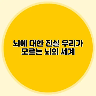 뇌에 대한 진실 우리가 모르는 뇌의 세계