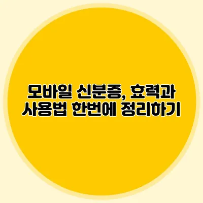 모바일 신분증, 효력과 사용법 한번에 정리하기