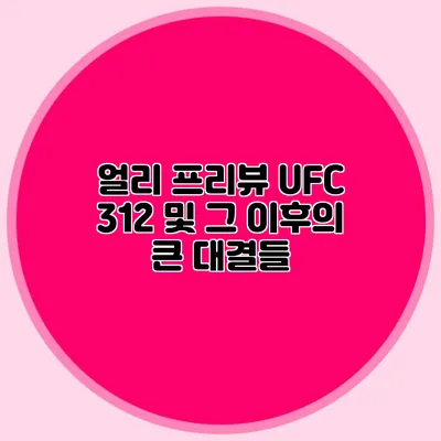 얼리 프리뷰 UFC 312 및 그 이후의 큰 대결들