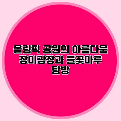 올림픽 공원의 아름다움 장미광장과 들꽃마루 탐방