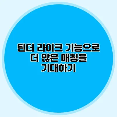 틴더 라이크 기능으로 더 많은 매칭을 기대하기