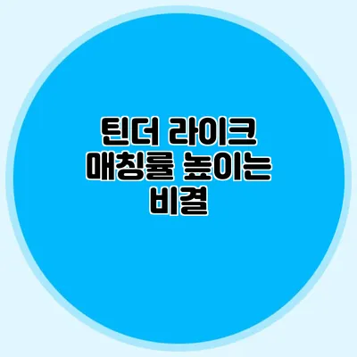 틴더 라이크 매칭률 높이는 비결