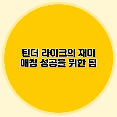 틴더 라이크의 재미 매칭 성공을 위한 팁