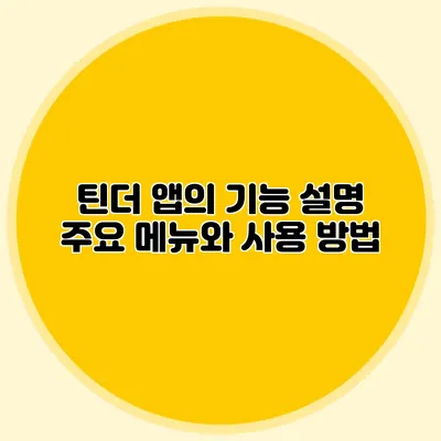 틴더 앱의 기능 설명 주요 메뉴와 사용 방법