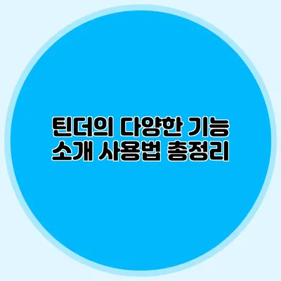 틴더의 다양한 기능 소개 사용법 총정리