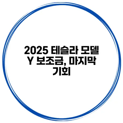 2025 테슬라 모델 Y 보조금, 마지막 기회