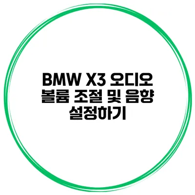 BMW X3 오디오 볼륨 조절 및 음향 설정하기