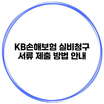 KB손해보험 실비청구 서류 제출 방법 안내