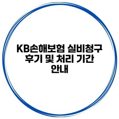 KB손해보험 실비청구 후기 및 처리 기간 안내
