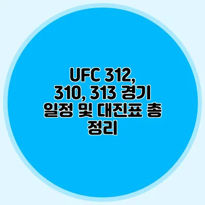 UFC 312, 310, 313 경기 일정 및 대진표 총 정리