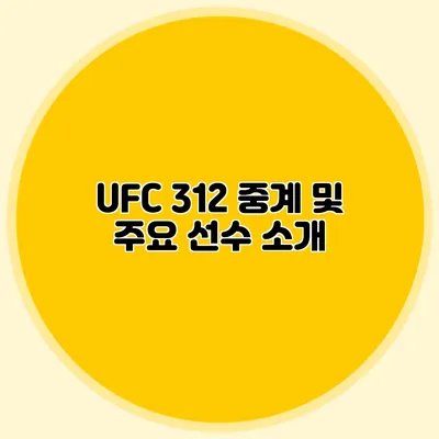 UFC 312 중계 및 주요 선수 소개