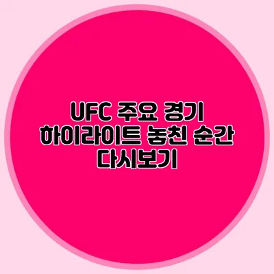 UFC 주요 경기 하이라이트 놓친 순간 다시보기