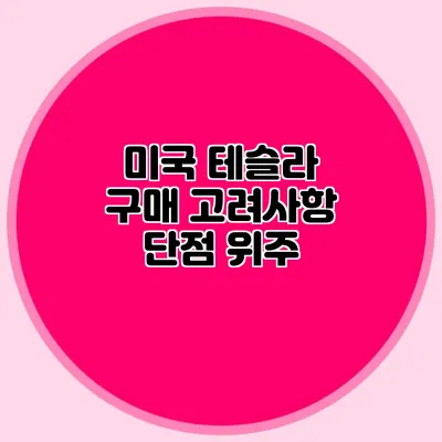 미국 테슬라 구매 고려사항 단점 위주