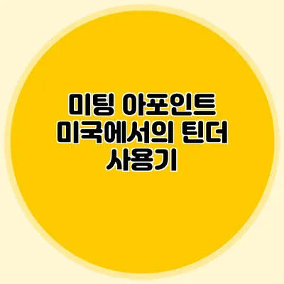미팅 아포인트 미국에서의 틴더 사용기