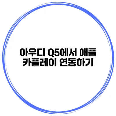아우디 Q5에서 애플 카플레이 연동하기