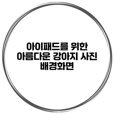 아이패드를 위한 아름다운 강아지 사진 배경화면