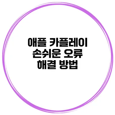 애플 카플레이 손쉬운 오류 해결 방법