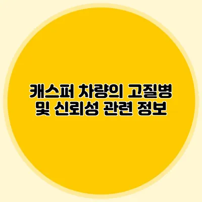 캐스퍼 차량의 고질병 및 신뢰성 관련 정보