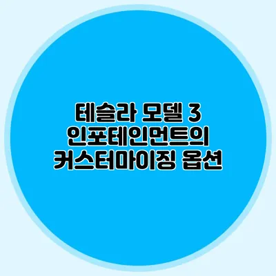 테슬라 모델 3 인포테인먼트의 커스터마이징 옵션